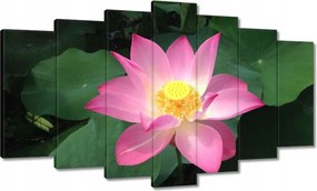 Vászonkép 140x80 Lótusz Lótuszvirág