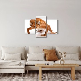 Gyík képe (90x60 cm)