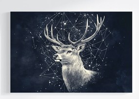Vászonkép Canvas Grafika Éjszaka Égbolt Csillagok Csillagkép Szarvas 120x80