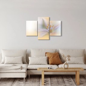 Kép - Gyengéd virág (90x60 cm)