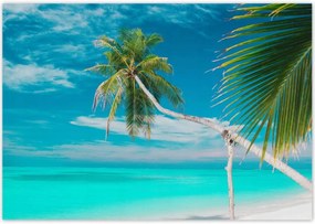 Poszterek 100x70 Tájkép Látvány