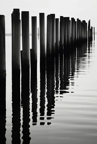 Poszter 68x101cm Víz és fa ritmusa