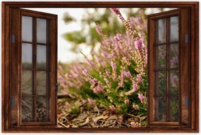 Poszterek 90x60 Erdei láp