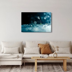 Kép - Makró (90x60 cm)