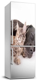 Dekor matrica hűtőre Kutya és macska FridgeStick-70x190-f-91792125