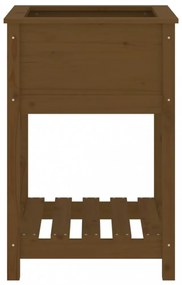 mézbarna tömör fenyőfa növénytartó polccal 54x54x81 cm