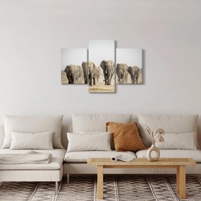Kép - Elefántcsorda (90x60 cm)