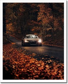 Poszterek keretben 40x50 Audi Őszi tájkép