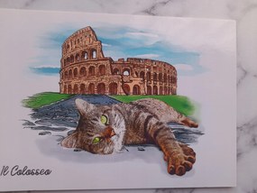Grafika Keret Olaszország Roma Római Coloseum Macska