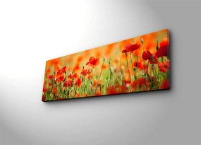 Vászonkép, 30×90 cm – TR239SHN1213