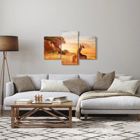 Kép - Zsiráfok Afrikában (90x60 cm)