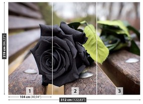 Fotótapéta Fekete rózsa 104x70 cm