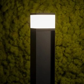 Kanlux 38762 - Kültéri lámpa DASTEN 1xG9/11W/230V 30 cm IP44 fekete