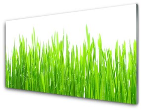 Modern üvegkép Grass Nature Plant 140x70 cm