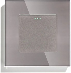 Kapcsoló Lámpakapcsoló Üveg Egylépcsős Szürke