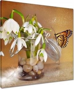 Vászonkép 50x50 Pillangó és hóvirág
