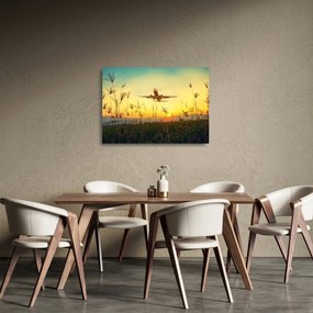 Repülő repülőgép képe (üvegen) (70x50 cm)