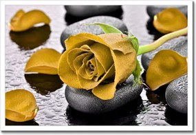 Poszterek keretben 60x40 Sárga rózsa köveken