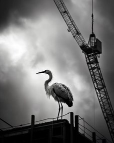 Poszter 40x50cm Magasan a horizont felett