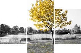 Kép - Pihenés a parkban (90x60 cm)