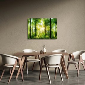 Kép - Hajnal az erdőben (üvegen) (70x50 cm)