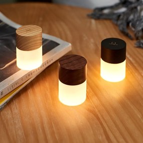 Fekete LED dimmelhető asztali lámpa üveg búrával (magasság 6 cm) Lemelia – Gingko
