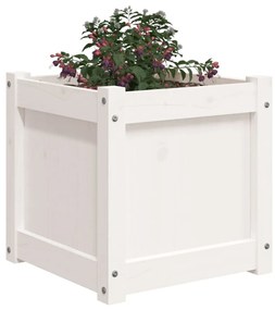 fehér tömör fenyő kerti virágláda 40x40x40 cm