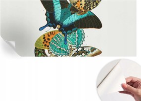 Modern öntapadós fali fotótapéta Színes pillangók 250x104 cm