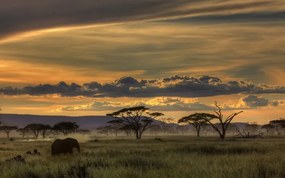 Fotográfia Africa, Amnon Eichelberg