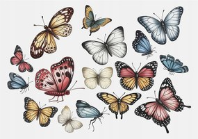 Fotótapéta Fali ragasztó szett Paradicsom pillangók 312x219 Ragasztó