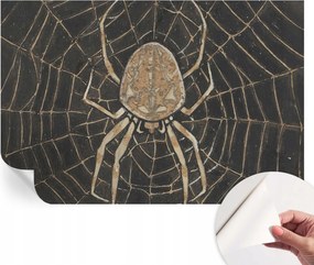 Dekoratív öntapadós fotótapéta Hálószobába Pókháló 104x70 cm