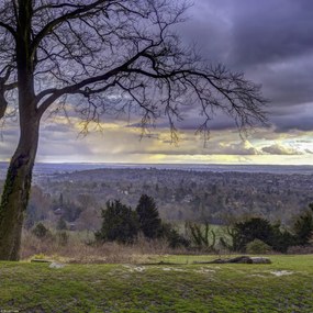 Poszter 30x30cm Reigate Hill 2, Assaf Frank