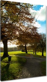 Vászonkép 80x120 Őszi tájkép