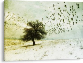 Kép - Festett madárállomány (70x50 cm)