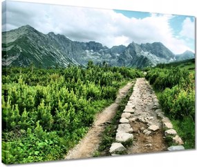 Vászonkép 40x30 Kő út Tátra