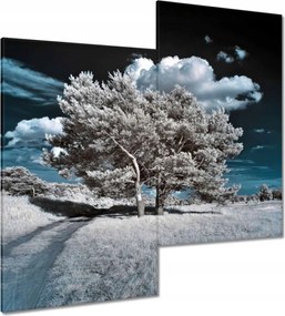 Vászonkép 60x60 Fenséges fa