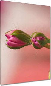 Vászonkép 70x100 Finom fánkok Virágok