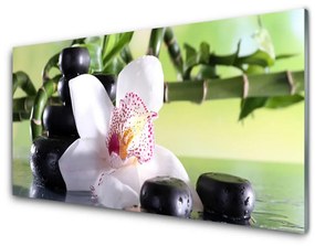 Üvegkép Bamboo Orchid Stones 100x50 cm