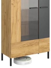 Vitrin Shanna (arany craft tölgy + antracit). 1053226