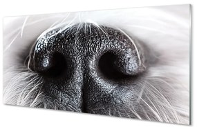 Akrilkép kutya orrát 100x50 cm