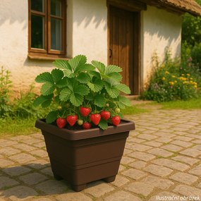 Plastia Bergamot önöntöző virágtartó 30 x 30 cm barna, 30 x 30 cm