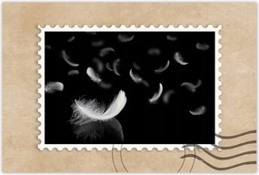 Poszter 60x40 Hulló fehér tollak