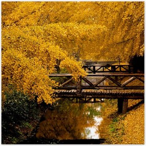 Poszterek 30x30 Tájkép Látvány