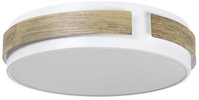 Rabalux 5646 - Dimmelhető SALMA mennyezeti LED lámpatest, 24W/230V