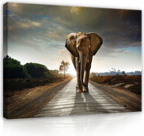 Vászonkép Elefánt Állatok Modern Vászon Fal Hálószoba Nappali 100x70