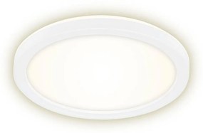 Briloner 7150-416 - LED Mennyezeti lámpa SLIM LED/12W/230V á. 19 cm