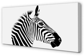 Canvas képek Illusztráció zebra 100x50 cm
