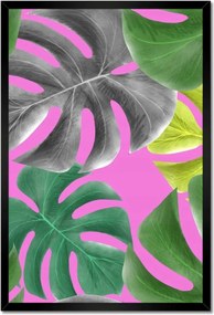 Poszterek keretben 40x60 Levelek Monstery