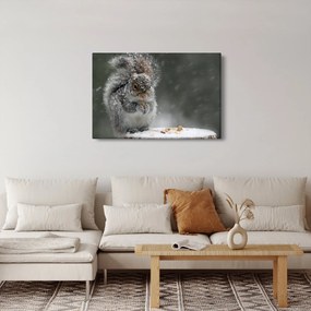 Kép - Mókus télen (90x60 cm)