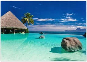 Poszterek 100x70 Trópusok Tájkép Pálmafák